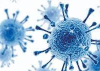 कोरोनाविरुद्धको खोप लगाई दिएबापत घूस मागेको अभियोगमा दुई स्वास्थ्यकर्मी पक्राउ